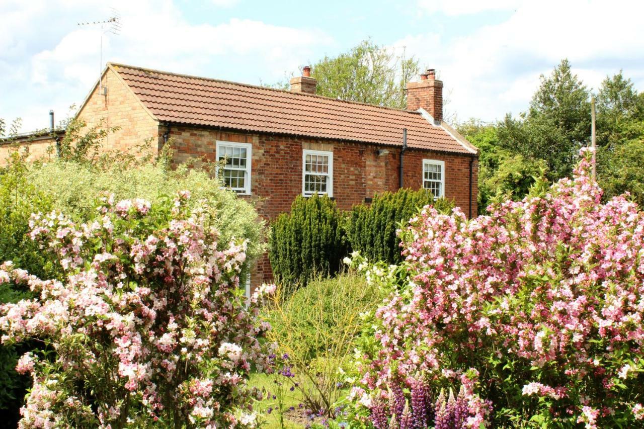 The Vine B & B South Thoresby Dış mekan fotoğraf