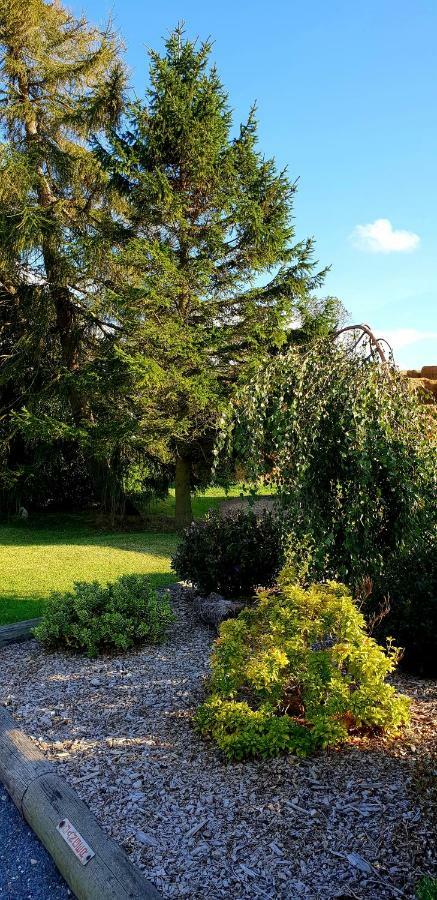 The Vine B & B South Thoresby Dış mekan fotoğraf